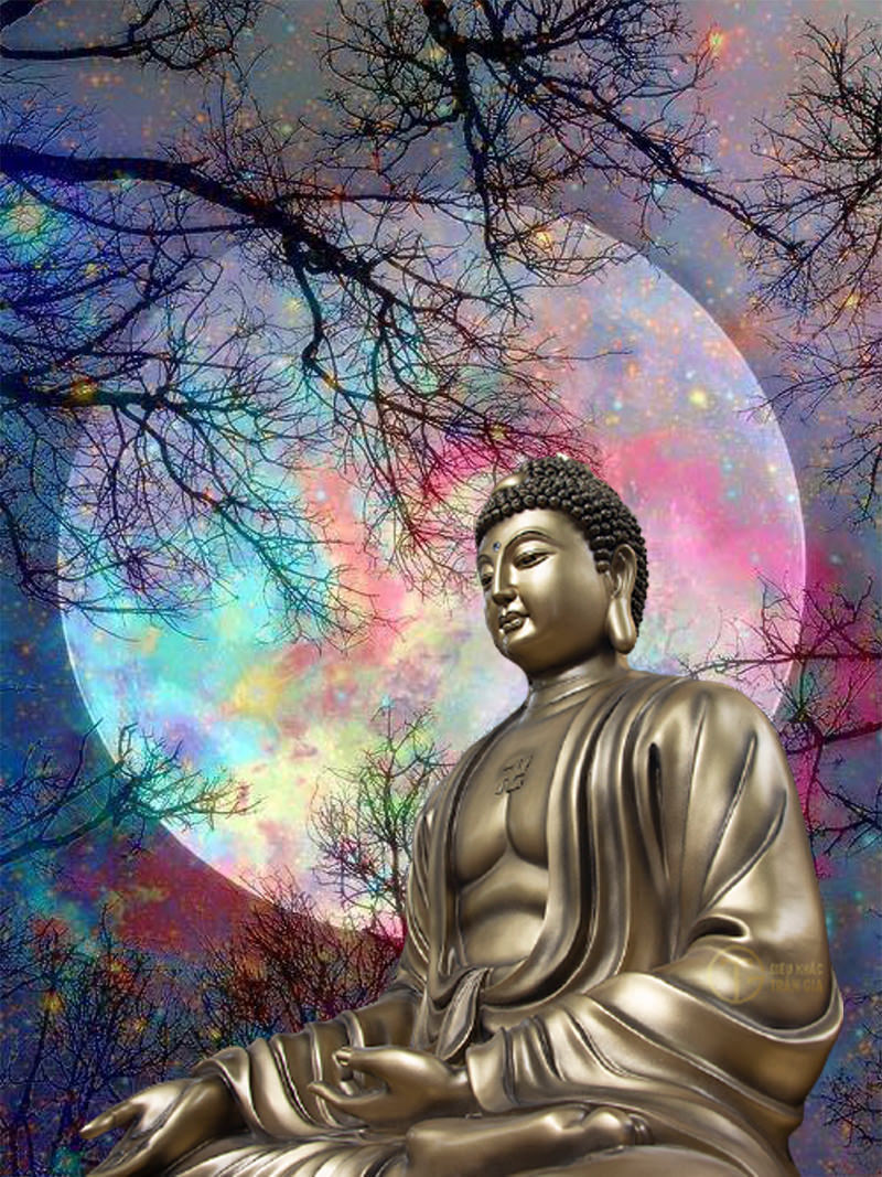 Hình ảnh Phật Thích Ca Mâu Ni đẹp nhất  Hình nền phật  Hình ảnh Hình nền  Hình