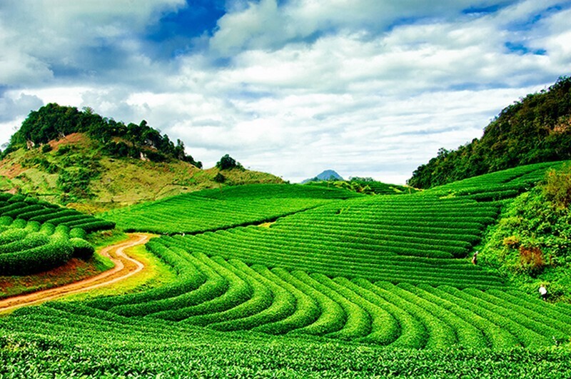Những hình ảnh tuyệt đẹp về phong cảnh, thiên nhiên Việt Nam | Tin tức  Online