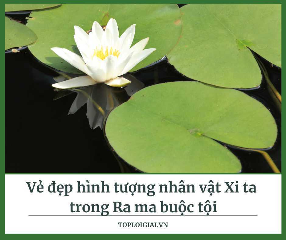 
ảnh vẽ đẹp