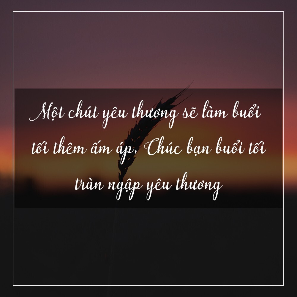 hinh anh chuc buoi toi