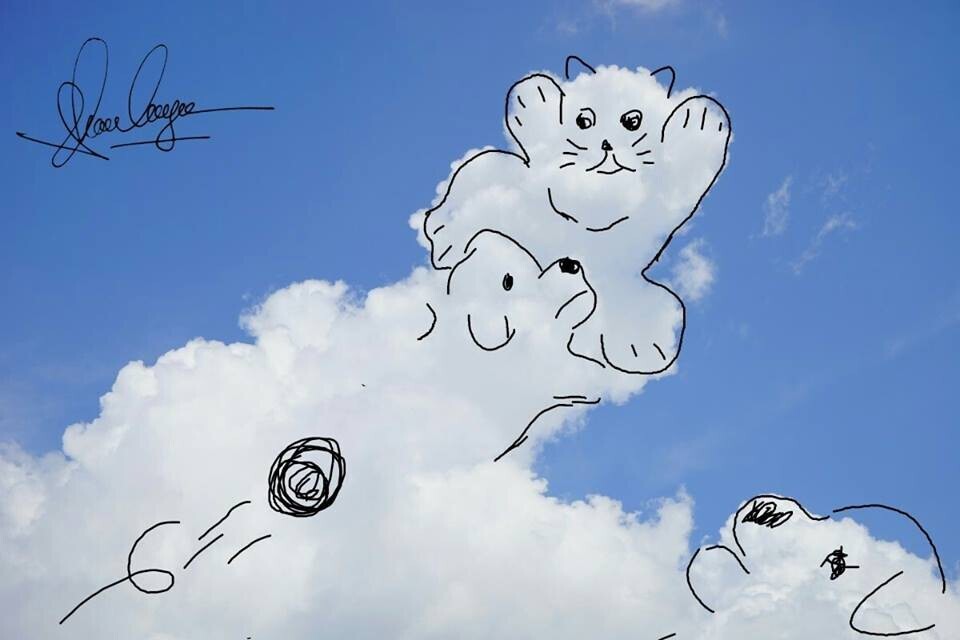 Chia sẻ hơn 56 về hình nền mây xanh mới nhất - Du học Akina