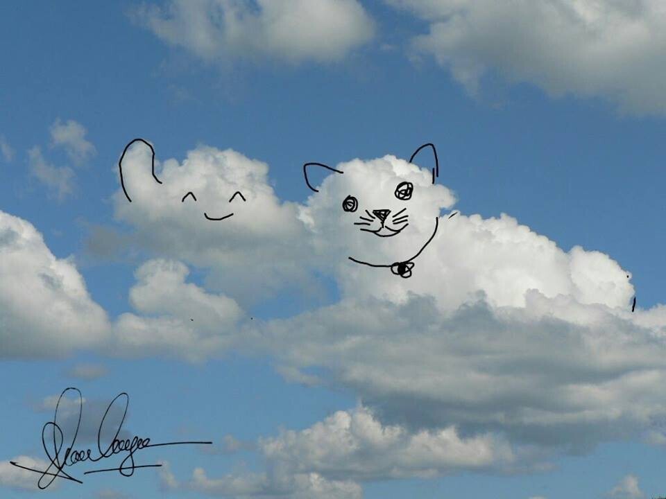 Chia sẻ với hơn 93 ảnh mây cute hay nhất  Tin Học Vui