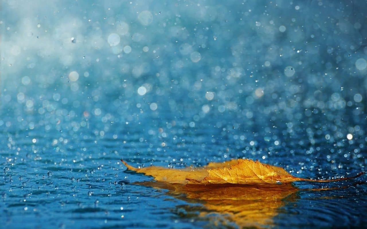 Tổng hợp hơn 60 về hình nền mưa buồn hay nhất - cdgdbentre.edu.vn