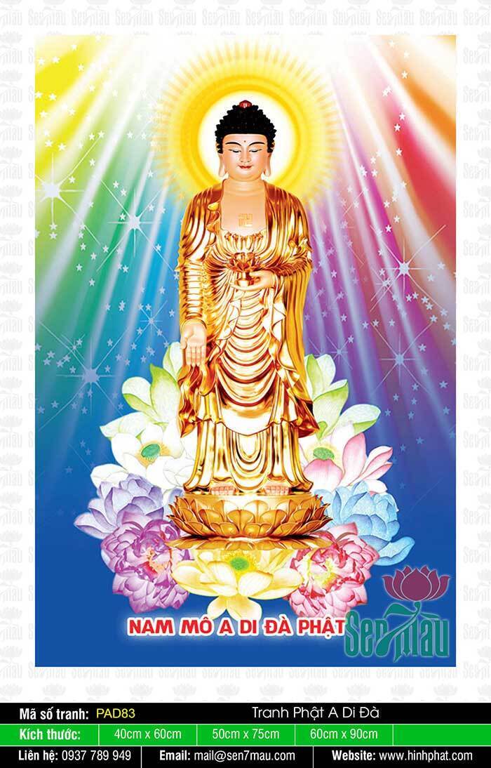 Hình ảnh Phật A Di Đà đẹp nhất thế giới chất lượng cao