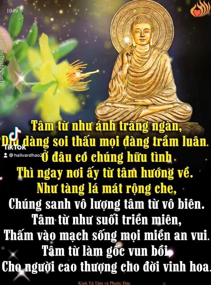hinh anh phat thich ca 065