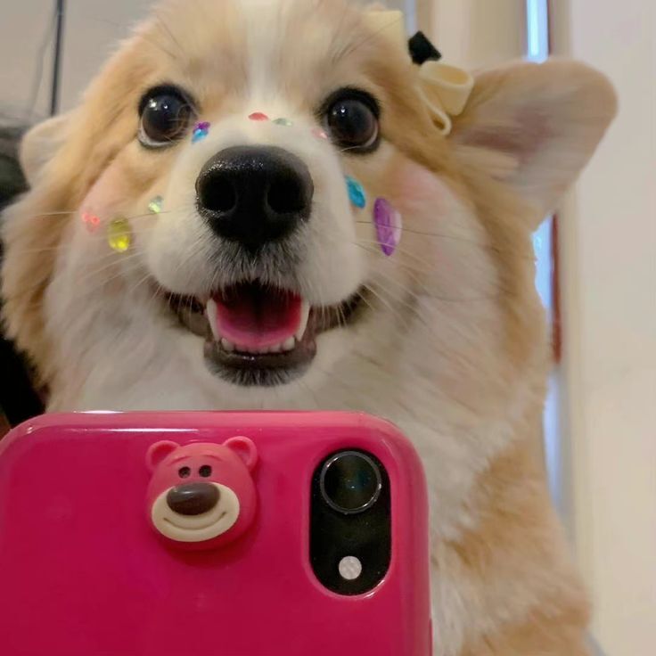 
những hình ảnh cute nhất
