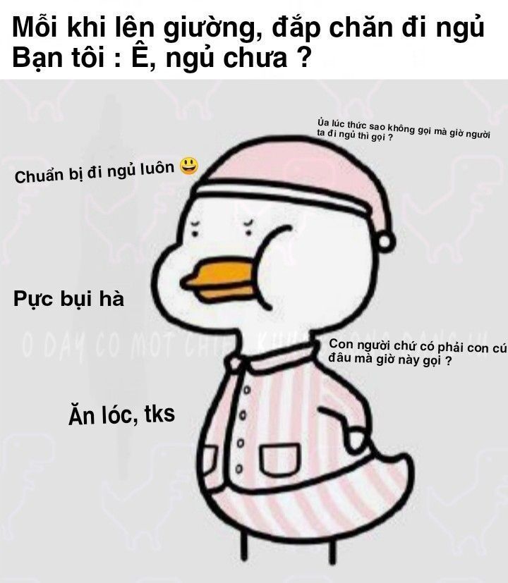 
những ảnh cute nhất