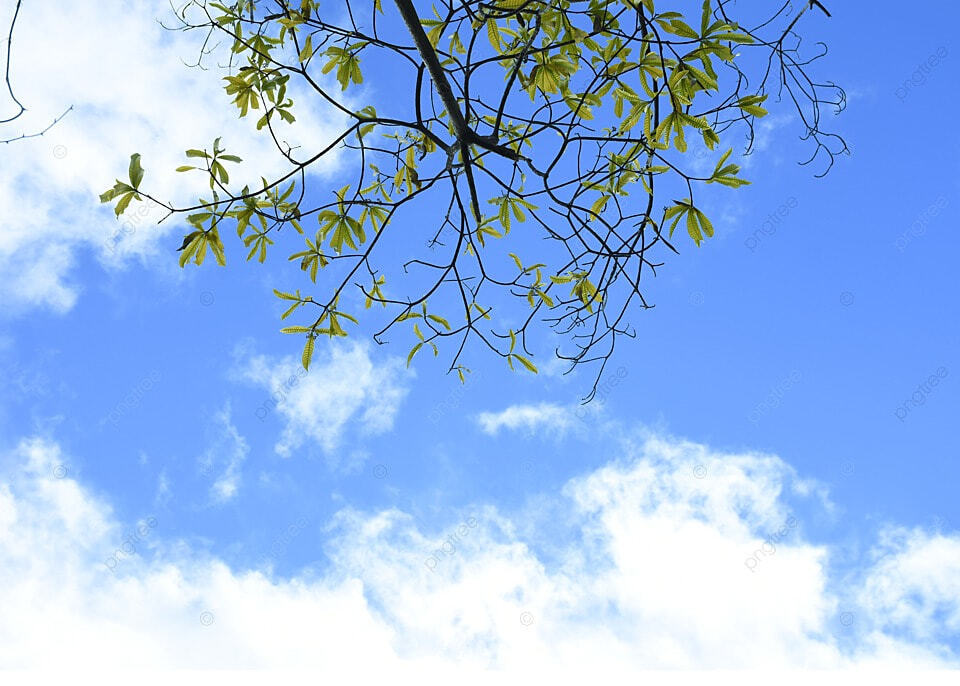 Tuyển tập hình nền bầu trời xanh tuyệt đẹp để làm ảnh bìa facebook hoặc máy  tính 6 | Bầu trời, Nhiếp ảnh về cái đẹp, Nhiếp ảnh ngoài trời