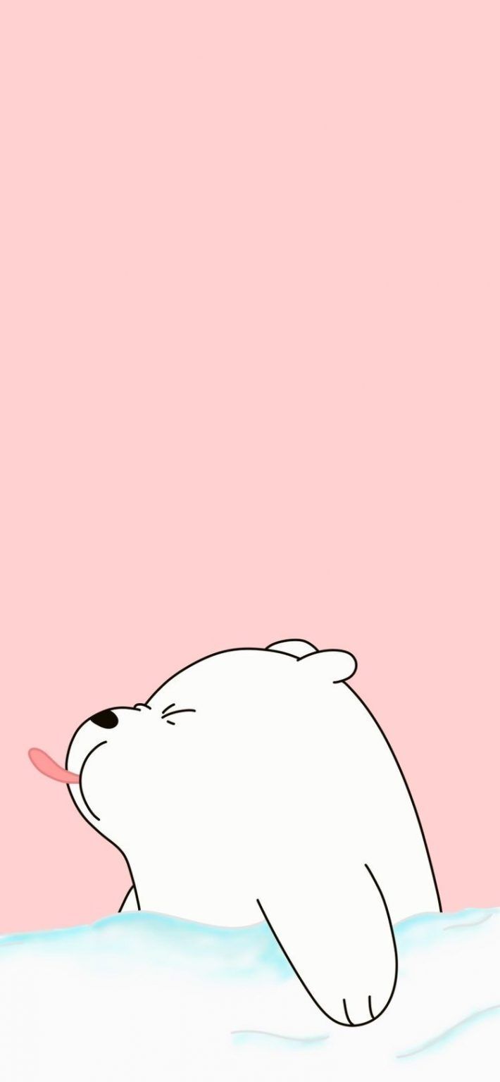 Cập nhật 69 hình nền ice bear cute hay nhất  CB