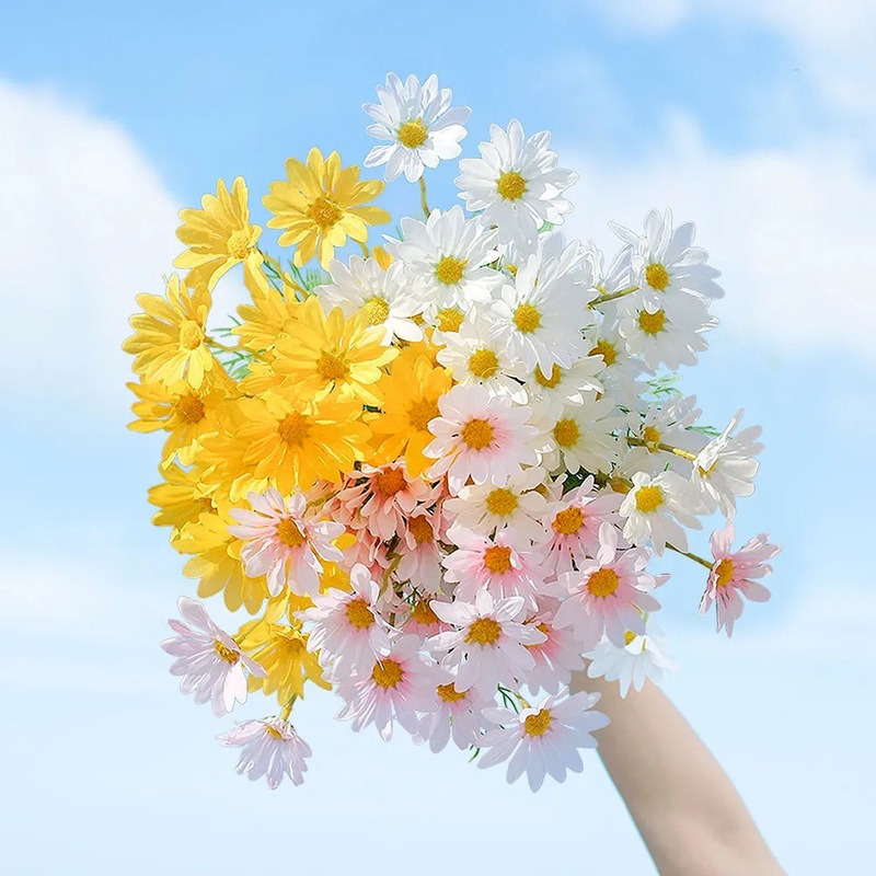 Ảnh miễn phí trên Pixabay  Fall Cây Bản Chất Vườn Hoa Cúc  Hình nền  hoa Hình ảnh Hoa