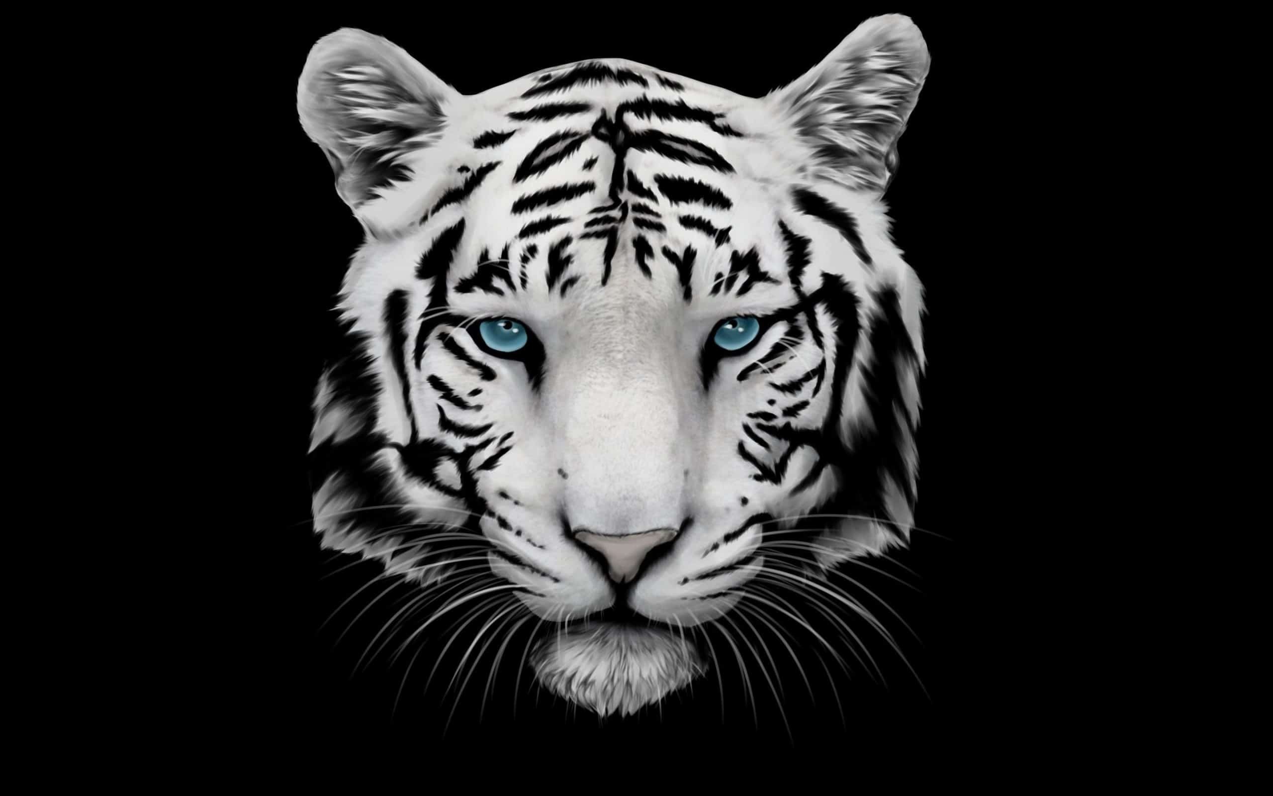 Chi tiết với hơn 104 hình nền con hổ hay nhất poppyeduvn