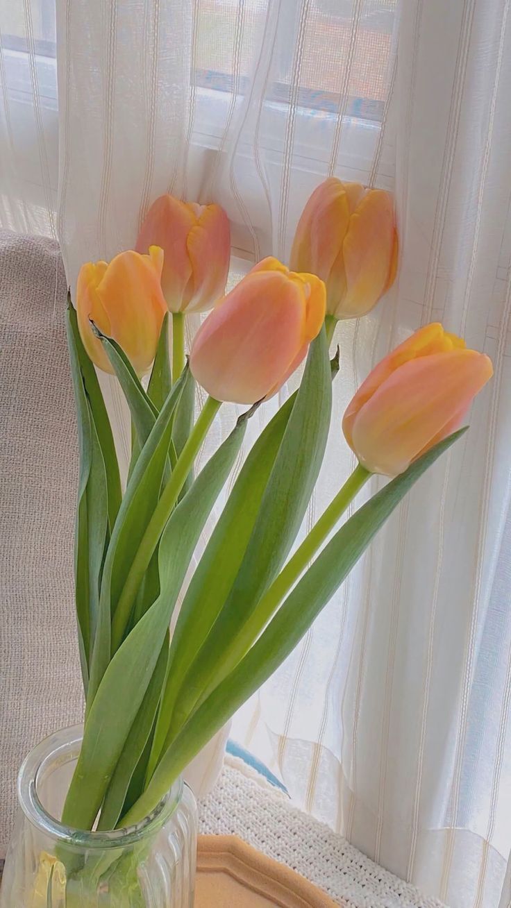 hình nền hoa tulip