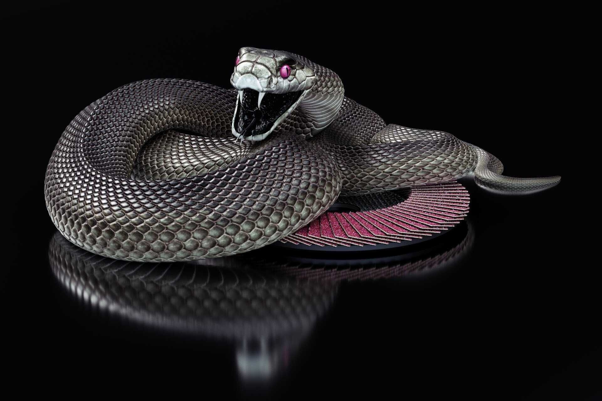 Tổng hợp hơn 79 hình nền điện thoại con rắn đẹp mới nhất  cbnguyendinhchieu