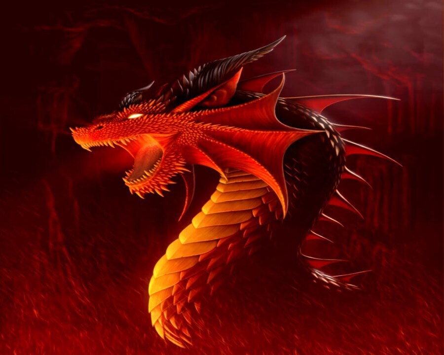 Hình rồng đẹp ảnh rồng đẹp 3d ấn tượng nhất 16  Chinese dragon Asian  dragon Japanese dragon