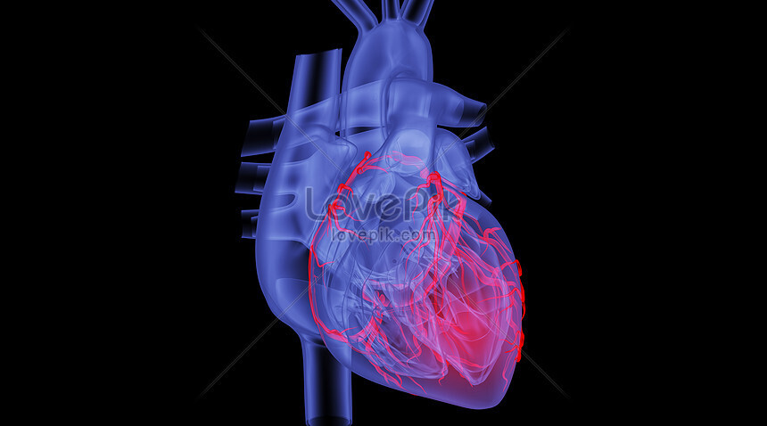 hình nền trái tim 3d