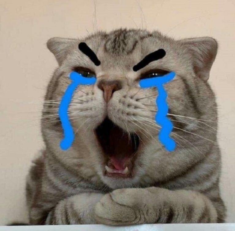 
những bức ảnh dễ thương