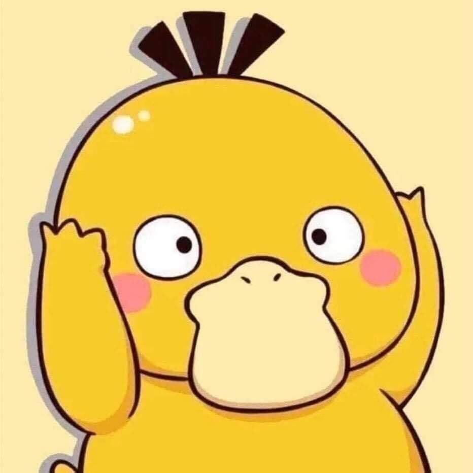
các hình ảnh cute