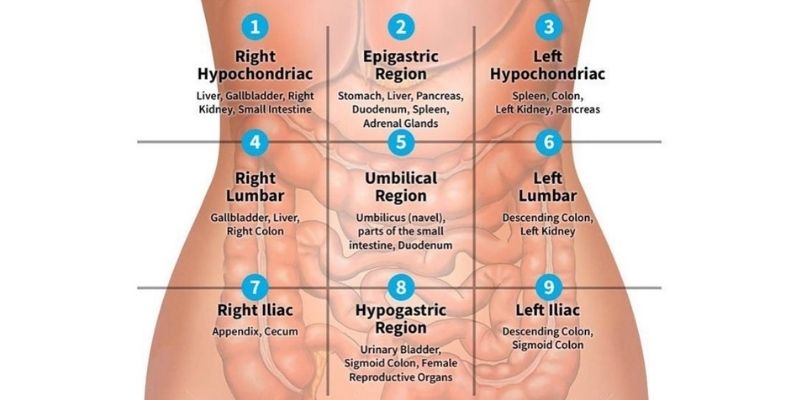 Dấu hiệu cảnh báo khi bị đau bụng dưới bên trái