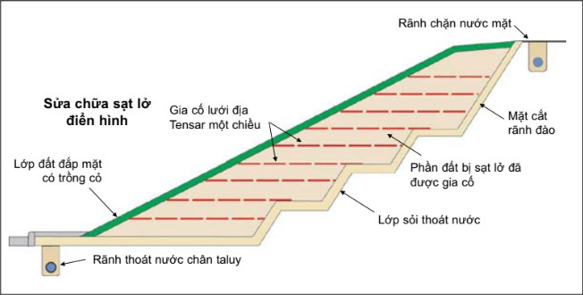 thi công lưới địa